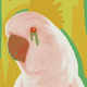 Illustration for article titled 5 new books to read in May